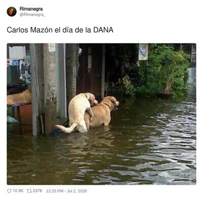 Nunca una imagen explic&oacute; tanto