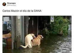 Nunca una imagen explic&oacute; tanto