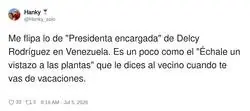 Te dejo de presidenta encargada, pero solo para regar las plantas, &iquest;eh?