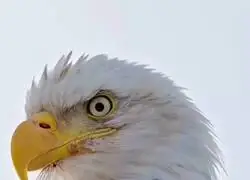 La tele:  "Uy, que viene la segunda ola de calor...". Yo, que llevo contadas cuatro: