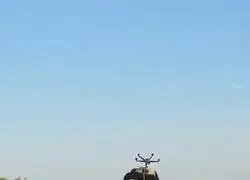 Visto en nuestras carreteras, como cada verano