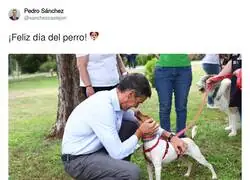 Perro S&aacute;nchez nos felicita el d&iacute;a del perro, qu&eacute; troll es