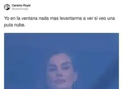 Por favor