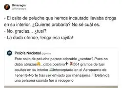 El osito inocente iba hasta arriba