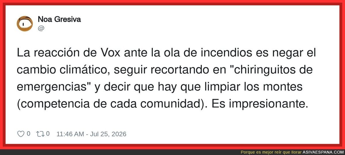 Vox descubriendo que los incendios se apagan con una escoba y actitud positiva