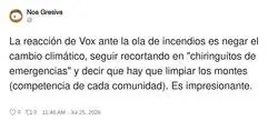 Vox descubriendo que los incendios se apagan con una escoba y actitud positiva