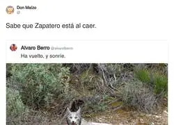 Cuando el lince blanco vuelve...
