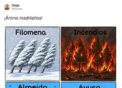 El nuevo &aacute;tico de Ayuso