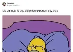Los expertos dicen que no, pero mi gato dice que s&iacute;, y francamente me f&iacute;o m&aacute;s de &eacute;l