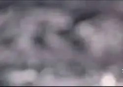 Los vigilantes de la valla