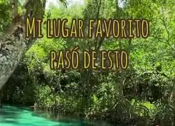 Esto es una desgracia