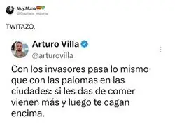 Las migas de pan son la moneda de cambio de la naturaleza