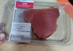 At&uacute;n ib&eacute;rico, como su forma indica