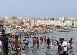 T&uacute; no puedes jugar a las palas pero ellos pueden convertir la playa en un vertedero