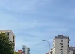 Esto ha ocurrido durante una intervenci&oacute;n de la polic&iacute;a local en la playa de Gandia