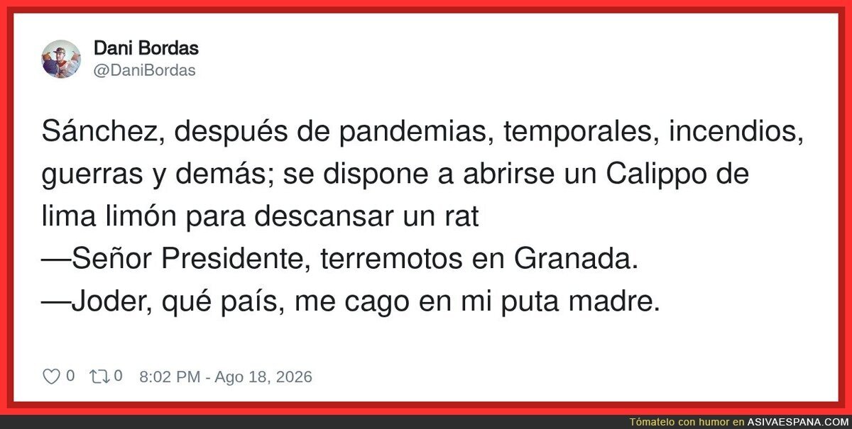 No hay vacaciones para Perro