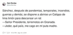 No hay vacaciones para Perro