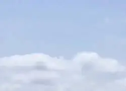 Visto en las costas de Murcia