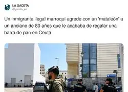 &iquest;Era pan integral o qu&eacute; ha pasado aqu&iacute;?