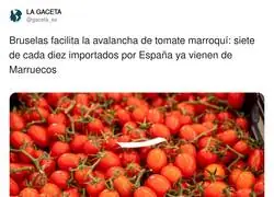 Prefiero comer gomaespuma que comer tomates marroqu&iacute;es