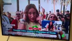 Como cortan la transmisi&oacute;n los cerdos