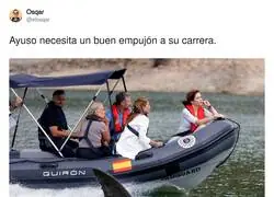El tibur&oacute;n tiene hambre