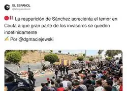 Un mes despu&eacute;s llega el Perro