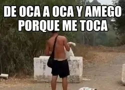 Ocas, delfines...