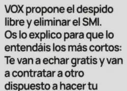 Vox explic&aacute;ndote por qu&eacute; te van a explotar: es por Espa&ntilde;a, chaval