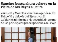De galgo de Paiporta a Liebre de Ceuta