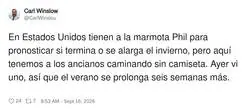 Prefiero a la marmota