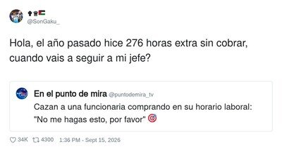 Si no te gusta, puedes hacerte funcionaria t&uacute; as&iacute; podr&aacute;s ir de compras en horario de trabajo