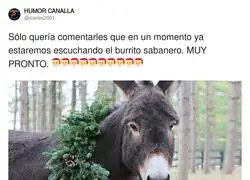 Pero primero, el jagulin