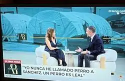 Santiago Abascal: &ldquo;Yo nunca he llamado perro a S&aacute;nchez, un perro es leal&rdquo;.