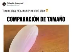 La dignidad de Teresa G&oacute;mez