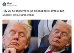&iexcl;Feliz d&iacute;a narcol&eacute;pticos!