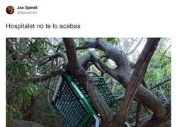 C&oacute;mo habr&aacute; llegado eso ah&iacute;