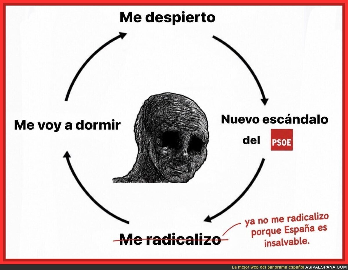 Ciclo de la vida