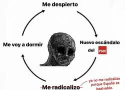 Ciclo de la vida