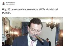 Hoy, 25 de septiembre, se celebra el D&iacute;a Mundial del Pulm&oacute;n