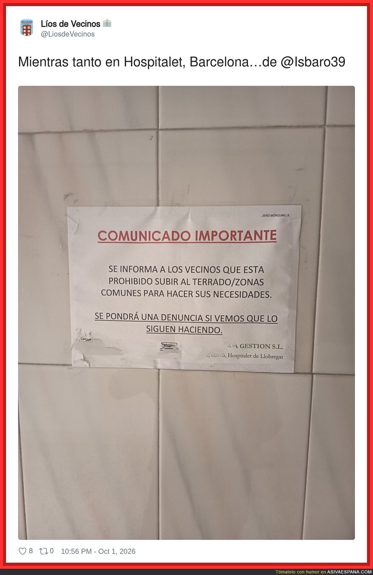 Menudo asco