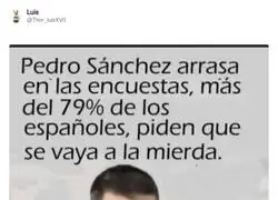 S&aacute;nchez arrasa en las encuestas: por fin algo en lo que se ponen de acuerdo el 79 % de los espa&ntilde;oles