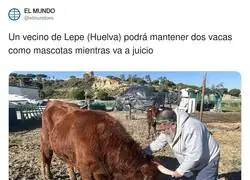 El chiste de Lepe ya se escribe solo