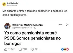 Entrar en el Facebook boomer es deporte de riesgo: &laquo;somos pensionistas, no borregos&raquo;, dice el reba&ntilde;o entero a la vez
