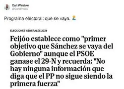 Ganar las elecciones es un detalle, lo importante es que se vaya S&aacute;nchez