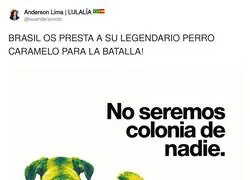 El perro que mea sobre geopol&iacute;tica con m&aacute;s criterio que el Ministerio de Exteriores