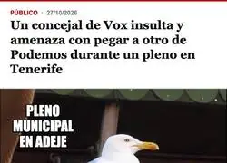 Un concejal de Vox descubre el pu&ntilde;o en alto justo cuando se le acaban los argumentos