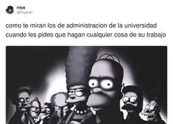 Pides un certificado y te miran como si les hubieras pedido un ri&ntilde;&oacute;n
