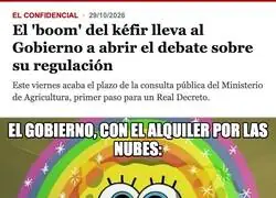 El Gobierno encuentra por fin un mercado que s&iacute; se atreve a regular: el del k&eacute;fir