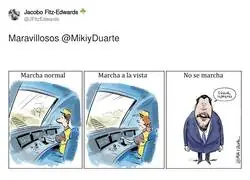 Errar es humano, dimitir es de otra especie